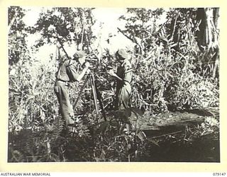 TSIMBA AREA, BOUGAINVILLE ISLAND. 1945-02-17. VX89635 GUNNER H.H. BLACKIE, 31/51ST INFANTRY BATTALION (1) AND VX67620 SERGEANT G.R. CLAMP, NO. 12 BATTERY, 4TH FIELD REGIMENT (2) SURVEYING A ROAD ..