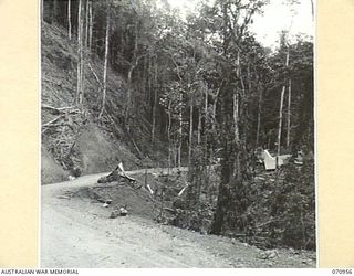 ZENAG, NEW GUINEA, 1944-02-27. THE CAMP SITE OF NO.3 PLATOON, 2/9TH FIELD COMPANY, ROYAL AUSTRALIAN ENGINEERS, FIFTY ONE AND THREE QUARTER MILES FROM WAU. TREES AND VINES HAVE BEEN CLEARED TO ALLOW ..
