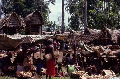 ["fotografi, photograph"]