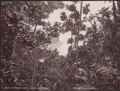 The coast of Mota, Banks Islands, 1906 / J.W. Beattie