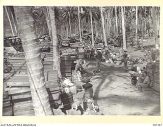 BUIN AREA, BOUGAINVILLE. 1945-09-28. JAPANESE NAVAL TROOPS LINED UP WITH STORES ON THE BEACH AWAITING TRANSPORT BY AUSTRALIAN BARGES TO FAURO ISLAND WHERE JAPANESE TROOPS FROM THE BUIN AREA ARE ..