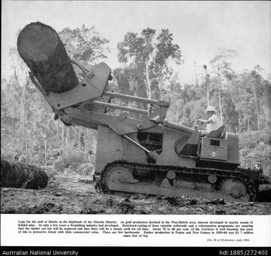 Logs for the mill at Bulolo