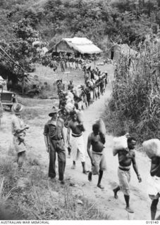 1943-06-28. NEW GUINEA. WAU-MUBO AREA. NATIVE CARRIERS SET OUT ALONG THE TRACK IN THE WAU-MUBO AREA, CARRYING SUPPLIES TO FORWARD AREAS. (NEGATIVE BY G. SHORT)