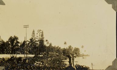 Looking towards Mulinu'u, near Apia, Samoa, 1928