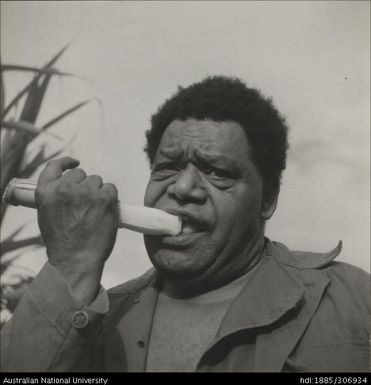 Man eating sugar cane