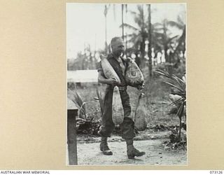 ALEXISHAFEN, NEW GUINEA. 1944-05-11. NX92763 PRIVATE D.M. DRISCOLL, A COOK AT HEADQUARTERS 8TH INFANTRY BRIGADE, CARRIES FOUR LARGE HAMS INTO THE COOKHOUSE