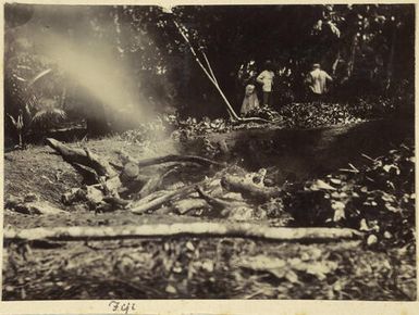 Fiji