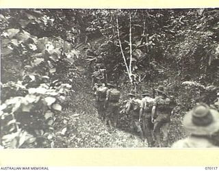 KETOBA, NEW GUINEA. 1944-01-29. MEMBERS OF THE 57/60TH INFANTRY BATTALION CARRYING "KAI" (FOOD) TO TROOPS ATTACKING ORGORUNA. THIS WAS THE ONLY METHOD BY WHICH FOOD SUPPLIES COULD BE MAINTAINED