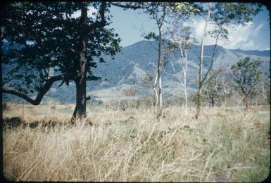 Old garden areas (2) : Goodenough Island, D'Entrecasteaux Islands, Papua New Guinea, 1956-1958 / Terence and Margaret Spencer
