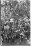 Bride price for Mitsi: decorated members of the groom's group dance in the bride's village, Edwin Cook observes