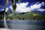 French Polynesia, view of Cook's Bay and Moorea Island