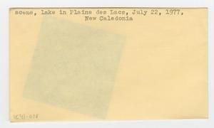[Plaine des Lacs Lake scene in New Caledonia, envelope IE41-078]