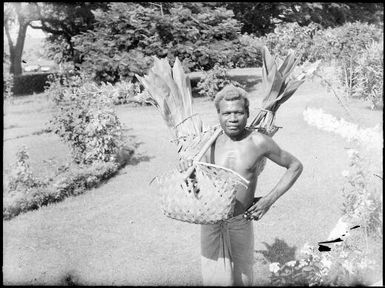 Man with baskets containing plants, suspended from a pole over his shoulder, Chinnery's garden, Malaguna Road, Rabaul, New Guinea, ca. 1935 / Sarah Chinnery