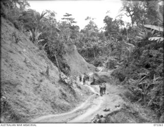 YAULA, NEW GUINEA. 1944-04-08. MORTAR CREW FROM C COMPANY, 57/60TH INFANTRY BATTALION MOVE DOWN A MOUNTAIN SIDE ALONG THE JAPANESE BUILT BOGADJIM ROAD