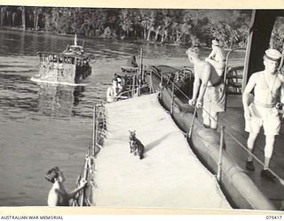 POTSDAM, NEW GUINEA. 1944-08-21. A LANDING BARGE LOADED WITH TROOPS OF THE 30TH INFANTRY BATTALION APPROACHING THE RAN CONVOY WHICH IS TO TRANSPORT THEM TO ALEXISHAFEN. THE CONVOY CONSISTS OF THE ..