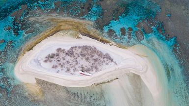 Ceva'i'ra Island, Fiji during the 2017 South West Pacific Expedition.