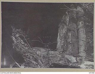 WEWAK POINT, NEW GUINEA, 1945-05-11. A TYPE OF JAPANESE PILLBOX DUG IN ABOVE A CAVE WHICH CONTAINED CONNECTING TUNNELS. THESE FORTIFICATIONS WERE USED IN THE DEFENCE OF WEWAK. THE AREA IS NOW ..