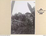 DOBODURA, NEW GUINEA, 1945-06-25. A TYPICAL SUSPENSION BRIDGE ERECTED BY AUSTRALIAN TROOPS IN THE DOBODURA AREA