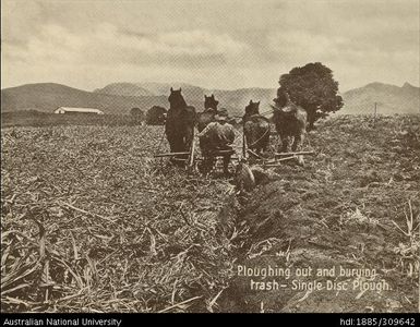 Ploughing out and burying trash with a single disc plough