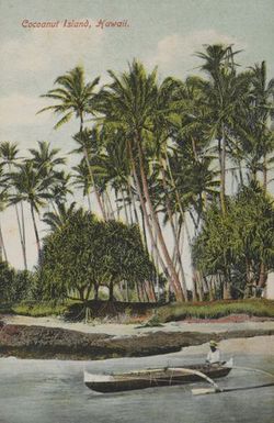 Cocoanut Island, Hawaii (from Albert Ellis Ocean Island Photograph Album)