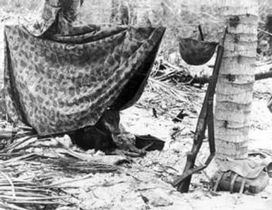 [Marine Corps Dog Resting in Shelter]