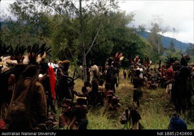 Crowd gathered wearing ceremonial head dresses