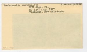 [Dubouzetia campanulata in New Caledonia, envelope IE41-149]