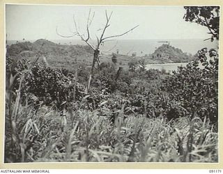 KARAWOP AREA, NEW GUINEA. 1945-04-19. MEMBERS OF 2/1 INFANTRY BATTALION MOVING FORWARD THROUGH COUNTRY CLEARED BY THEIR BATTALION, WHERE 6 DIVISION PATROLS ARE SEEKING OUT THE JAPANESE AND CLEARING ..