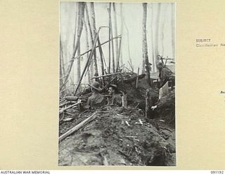 NUMA NUMA TRAIL, BOUGAINVILLE. 1945-04-24. SERGEANT C.D.B. JOHNSON, 27 INFANTRY BATTALION (1), AT A MEDIUM MACHINE GUN POSITION ON LITTLE HUNT'S HILL