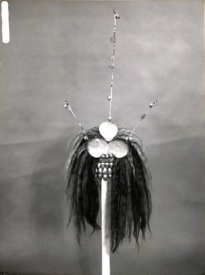 Photo of an object, possibly a head dress