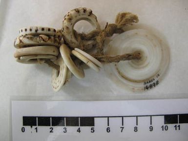 currency, shell