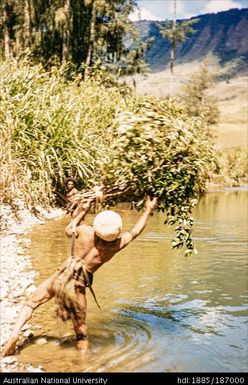 Fishing: Casting a fish trap