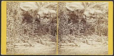 Ancient Ruins near Metaleine Harbour, Bornabie [Pohnpei], Caroline Group
