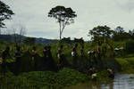 Making a test haul at a government research fish pond, near Mt Hagen, [Papua New Guinea], Feb 1961