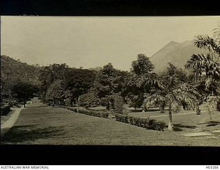 Rabaul, New Britain. c. 1915. A long avenue in the Botanic Gardens. The peak of Mount Mother can be seen in the right background