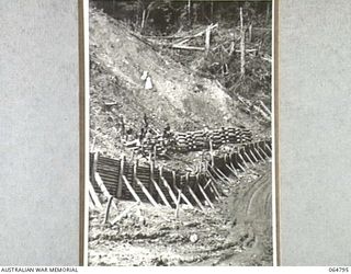 WAU, NEW GUINEA. 1944-02-11. NEW GUINEA NATIVES, SUPERVISED BY ENGINEERS OF THE 2/4TH FIELD SQUADRON, ROYAL AUSTRALIAN ENGINEERS, BUILDING LOG RETAINING WALLS ON AN EARTH SLIDE TO PROTECT THE NEW ..