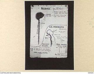 LAE AREA, NEW GUINEA, 1945-08-03. A "PIDGIN" ENGLISH CHART USED FOR THE INSTRUCTION OF NATIVE REGIMENTAL AID POST ORDERLIES. THE PHOTOGRAPH WAS MADE AT THE REQUEST OF HEADQUARTERS AUSTRALIAN NEW ..