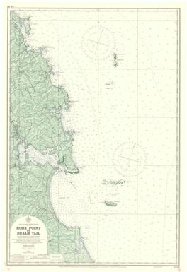 [New Zealand hydrographic charts]: New Zealand - North Island. Home Point to Bream Tail. (Sheet 521)