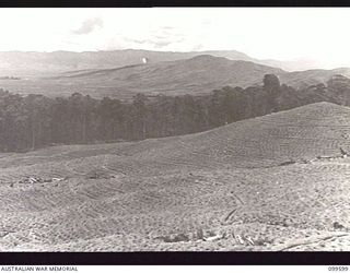 AIYURA, NEW GUINEA, 1946-01-09. THE HILL TERRACING FOR GROWING QUININE PLANTS ON THE KUMINERKERA BLOCK, AUSTRALIAN NEW GUINEA ADMINISTRATIVE UNIT EXPERIMENTAL STATION