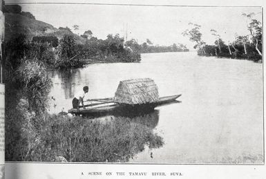 A scene on the Tamavu River, Suva, Fiji