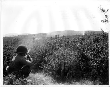 Nisei soldier in battle