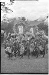 Bride price ritual: payment banners of shell and feather valuables, carried by decorated men from the groom's group