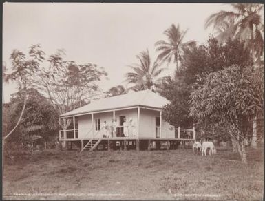 Five men on the verandah of the trading station at Ugi, Solomon Islands, 1906 / J.W. Beattie