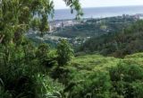 Honolulu, panoramic view of city