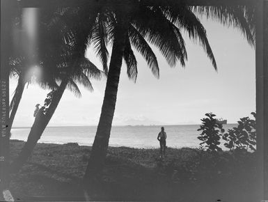 Guadalcanal coast, Solomon Islands, at RNZAF (Royal New Zealand Air Force) Camp Kiwi