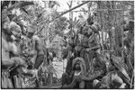 Pig festival, singsing, Kwiop: decorated dancers with feather headdresses, kundu drums, and weapons