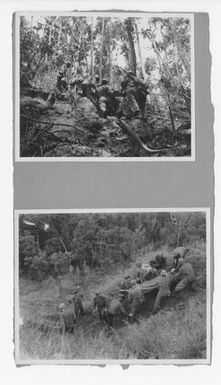 [Photographs of Wounded Soldiers Being Transported Through the Jungle]