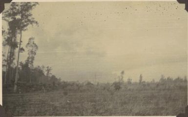 The secondary eruption of Mt Lamington from Popondetta, March 1951 / Albert Speer