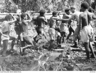 1943-01-14. NATIVE BOYS, UNDER THE DIRECTION OF AN AMERICAN ENGINEER, BRINGING UP A TREE TO PROVIDE A FOUNDATION FOR A ROAD TO THE FRONT LINE AT BUNA. THE MUD HERE WAS INCHES DEEP. (NEGATIVE BY ..