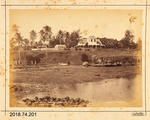 Photograph: The King's Palace, Neiafu Vavau, Tonga